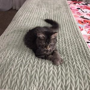 Meet your Posher, Haley